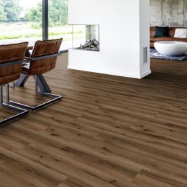 Oak Cairo